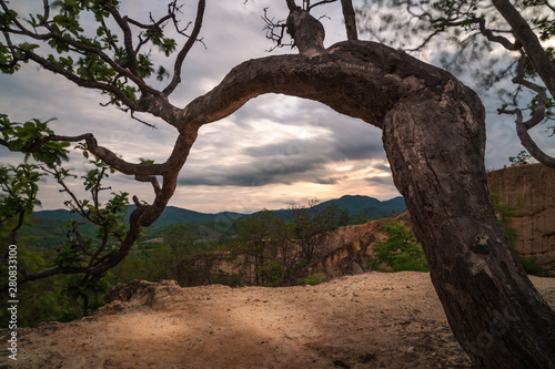 Pai canyon in thailand north in late afternoon golden hour sunset with cloudy sky view from an ancient tree over the valley