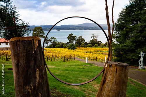 Winery in Tamar Valley, Tasmania, Australia