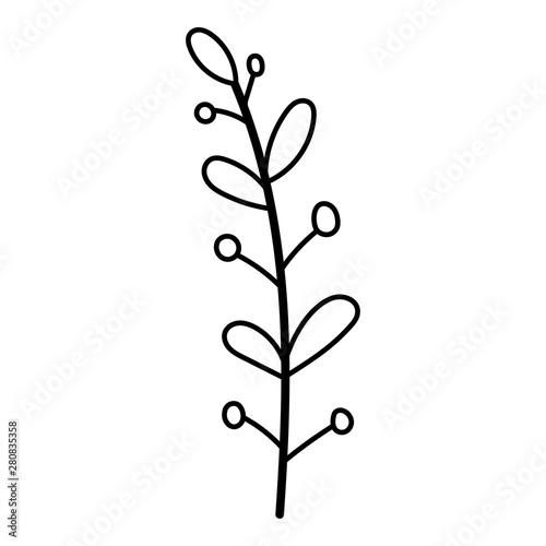 Leaf, leaves, herbs. Decorative items for greeting card, scrapbooking, design. Illustration isolated on white background