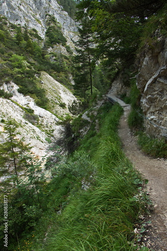 Hiking trail in Oetschergraben near to the Oetscher in Austria, Europe photo