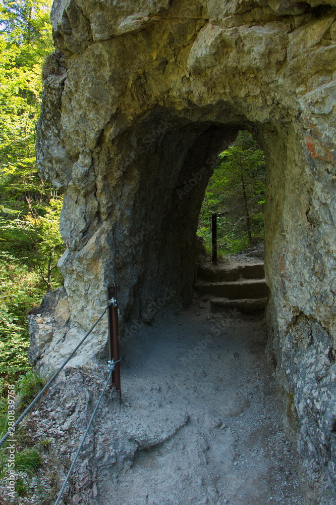 Obraz premium Hiking trail in Oetschergraben near to the Oetscher in Austria, Europe