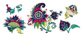 Pattern elements in oriental (Iranian, Turkish) Paisley style