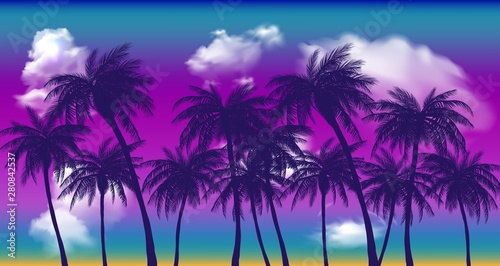 Summer sunset palm trees. Beatiful tropical, exotic wit clouds in sky.Vector illustration. EPS 10 © evrimdoga