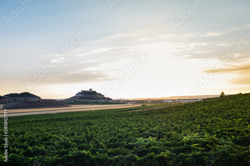 Dusk falling over the vineyards at the Ribera del Duero in Valladolid photo