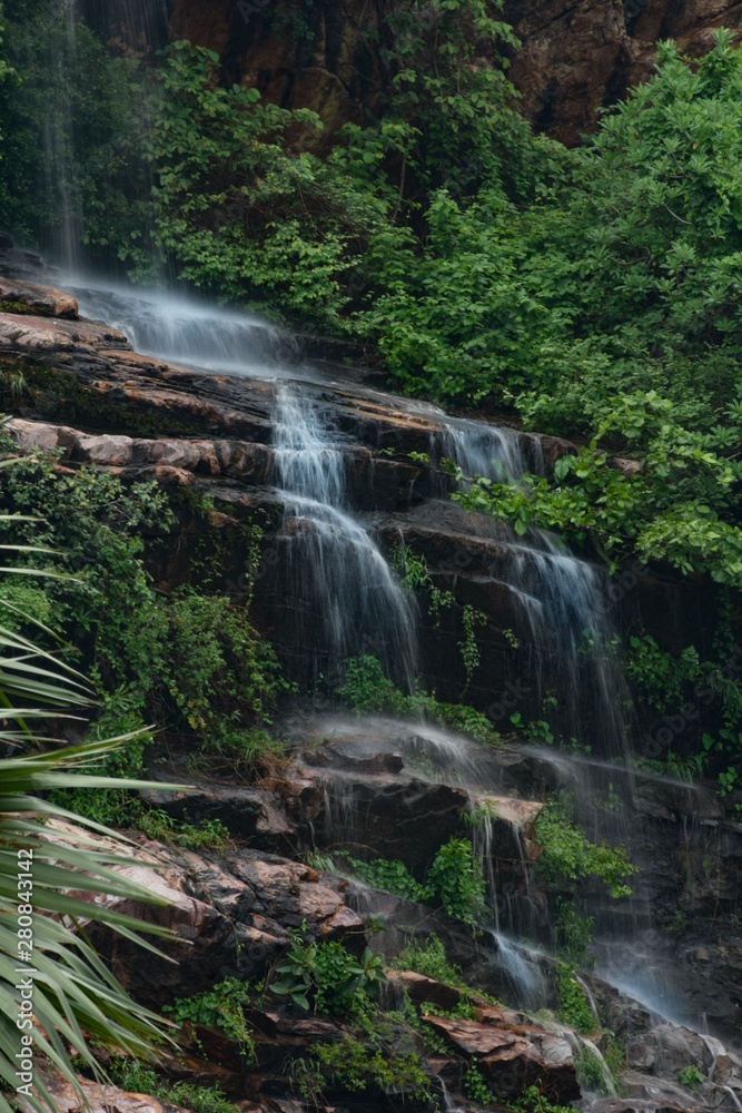 Fototapeta premium waterfall in forest