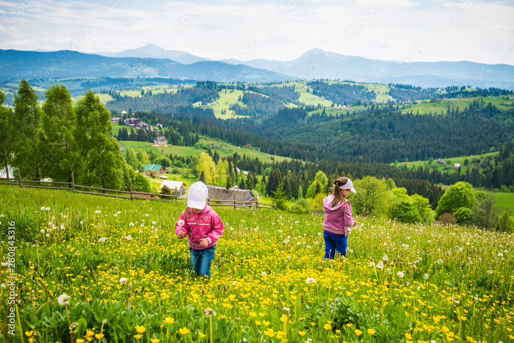 Children walking in the flowering meadow