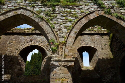 Abadía de Jerpoint, Thomastown, Condado de Kilkenny, Irlanda photo
