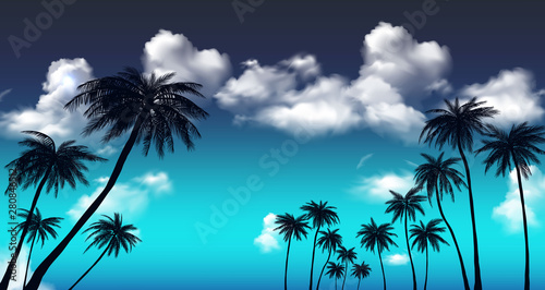Summer sunset palm trees. Beatiful tropical  exotic wit clouds in sky.Vector illustration. EPS 10