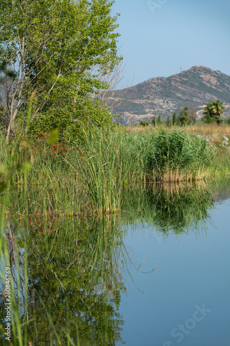 Reeds and reflections in Lac de Padula, Corsica