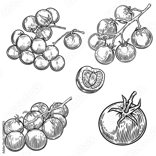 Set of illustrations of tomatoes isolated on white background. Design element for poster, card, banner, sign, menu. Vector illustration