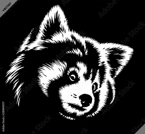 black and white linear paint draw red panda illustration art
