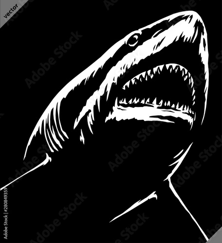 black and white linear paint draw shark illustration art