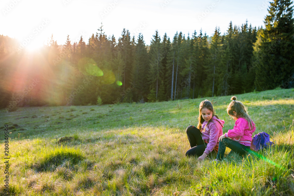 Cheerful children bathed in the evening sun on the edge of the forest Cheerful children bathed in the evening sun on the edge of the forest