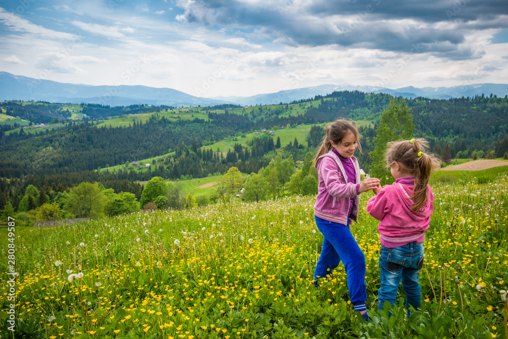 Fototapeta premium Cheerful girls walk on a flowering meadow