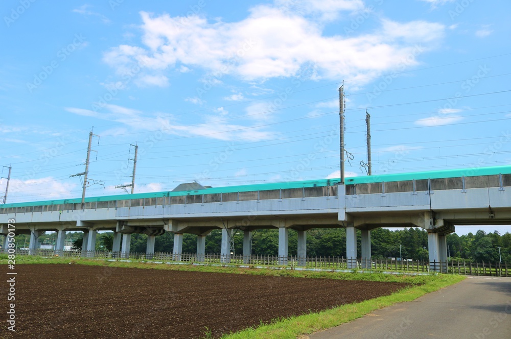 風景　田舎　高架橋　新幹線　杤木