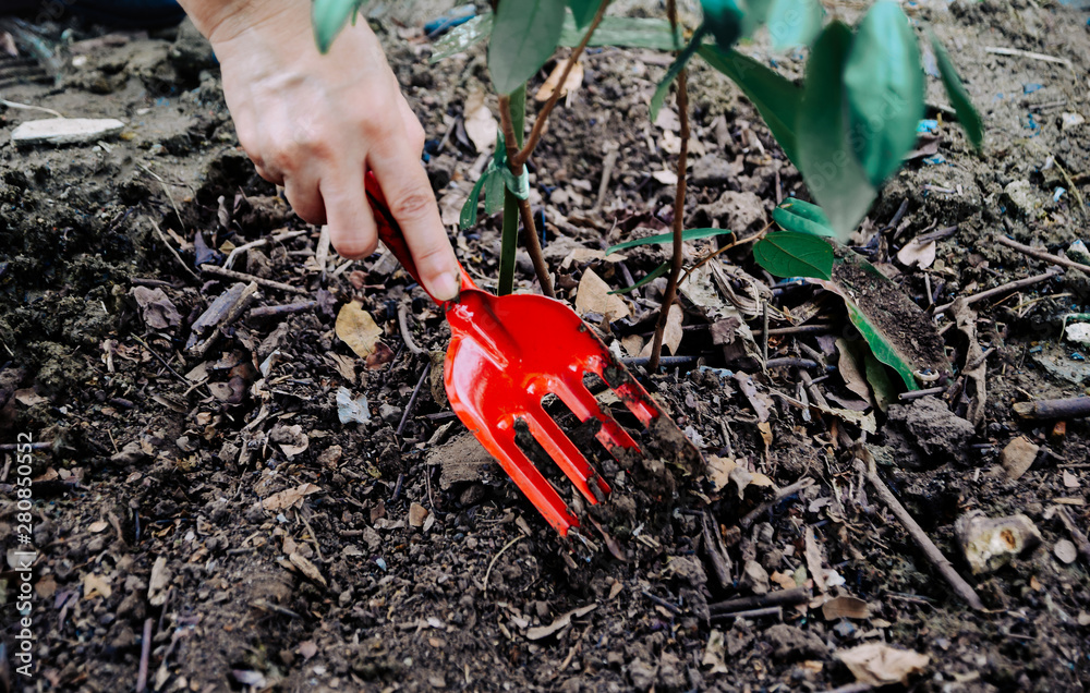Human hand planted trees to protect the environment and ecological system Human hand planted trees to protect the environment and ecological system