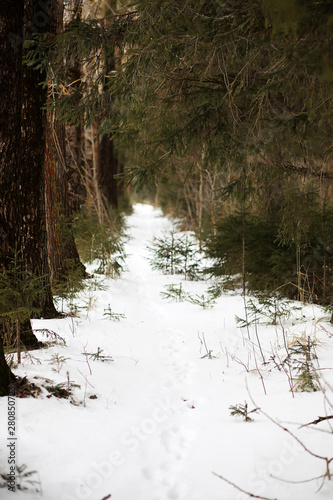 Winter landscape of country fields and roads