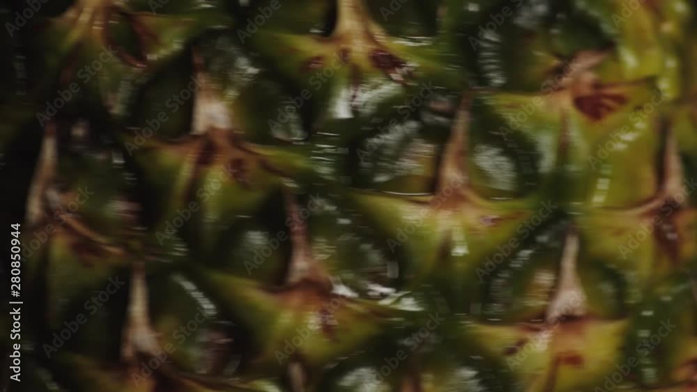 Super close up of pineapple scale skin rotating. Static Super close up of pineapple scale skin rotating. Static