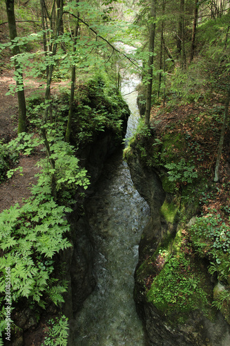 Deep gorge with a rushing stream in the Slovak Paradise National Park