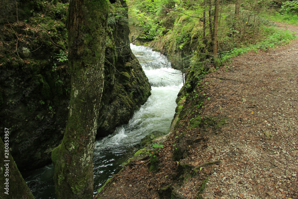 A wet trail running through streams in the Slovak Paradise National Park A wet trail running through streams in the Slovak Paradise National Park