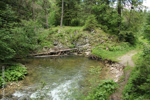 Stream peacefully and slowly flowing through the forest areas of the Slovak Paradise National Park