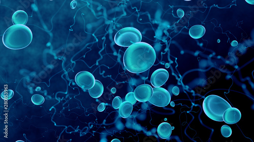 Microscope red blood cells and virus Bacteria, infection 3d rendering, health care, medical and science concept. particle in blood, human body science biology