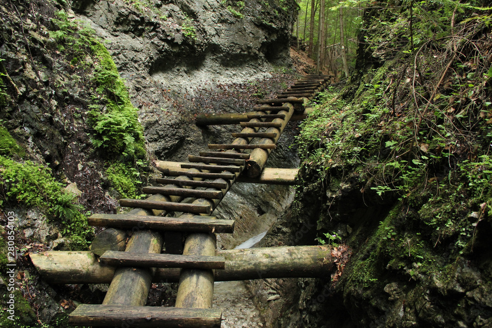 Dangerous trail through a waterfall with wooden ladders in the Slovak Paradise National Park, Slovaki Dangerous trail through a waterfall with wooden ladders in the Slovak Paradise National Park, Slovaki