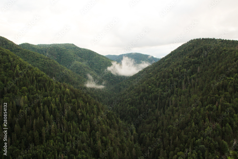 Fototapeta premium Panorama on mountain hills covered with forest