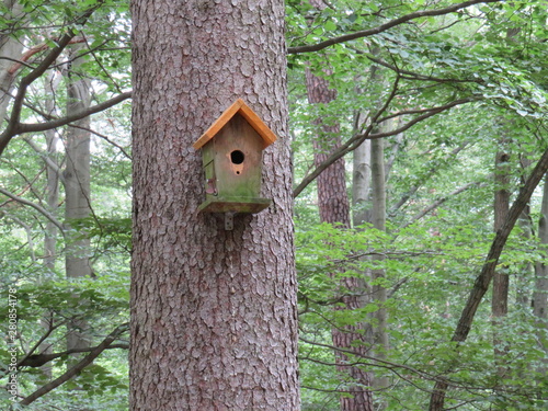 Fototapeta Naklejka Na Ścianę i Meble -  birdhouse on tree