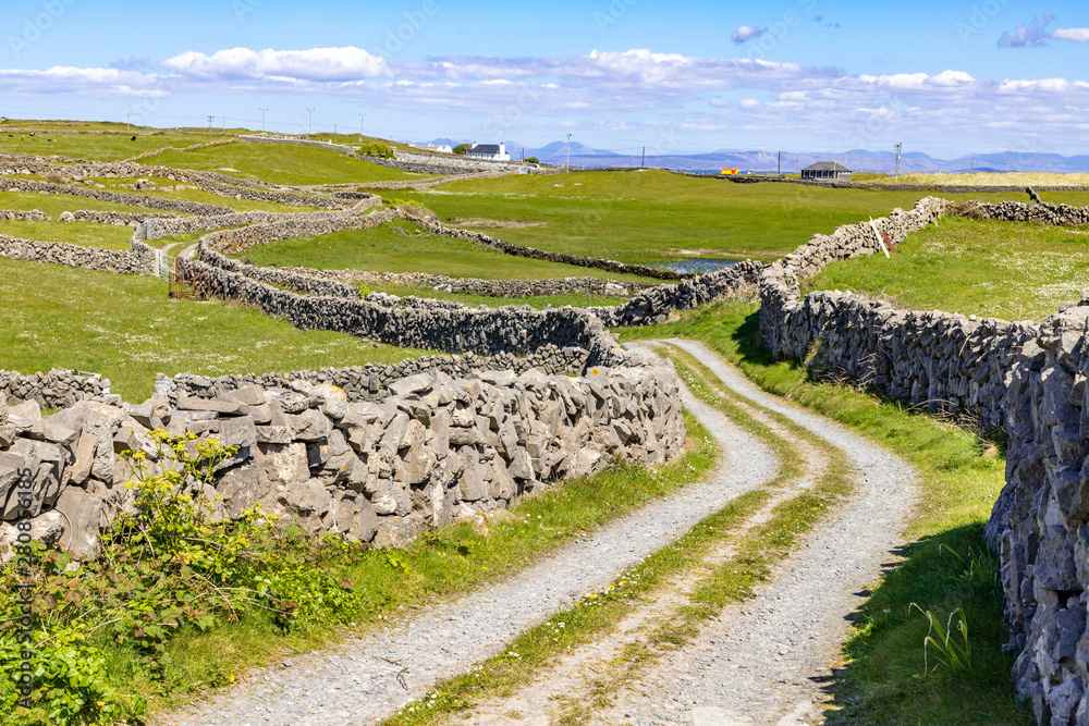 Road around farms with stone wall in Inishmore