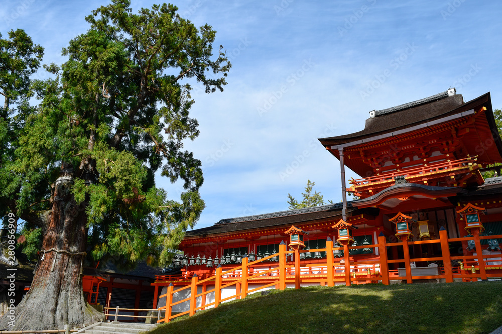 Naklejka premium 奈良県 春日大社
