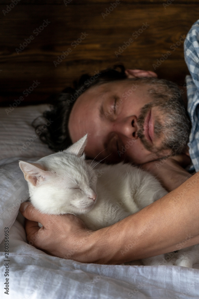 Close-up. A man lies and sleeps in bed in obrimku with a white cat. Scandinavian interior and comfort. Vertical Close-up. A man lies and sleeps in bed in obrimku with a white cat. Scandinavian interior and comfort. Vertical