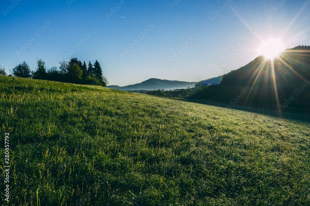 aerial drone view of morning hour over peaceful countryside with green morning dew and agricultural fields, sun shining directly into camera, switzerland