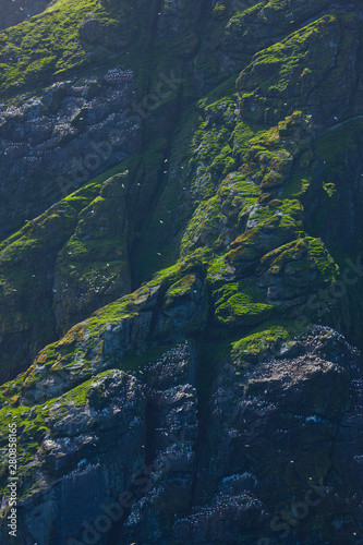 Isla Boreray. Archipielago St. Kilda. Outer Hebrides. Scotland, UK photo