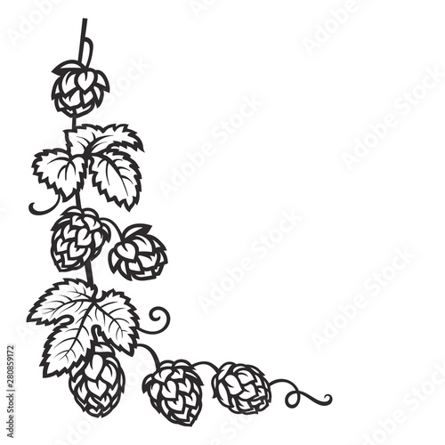 Branch of hops. Hop cones with leaf icon. Corner frame. Hand drawn vector illustration on white background.