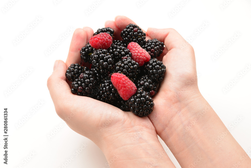 Berries kept in hands isolated on white background. Berries kept in hands isolated on white background.