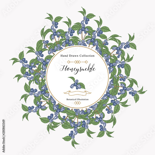 Round frame with honeysuckle plant. Hand drawn berries and leaves of honeysuckle. Vector illustration botanical. photo