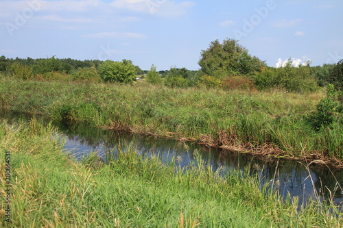 Wiese mit Bach