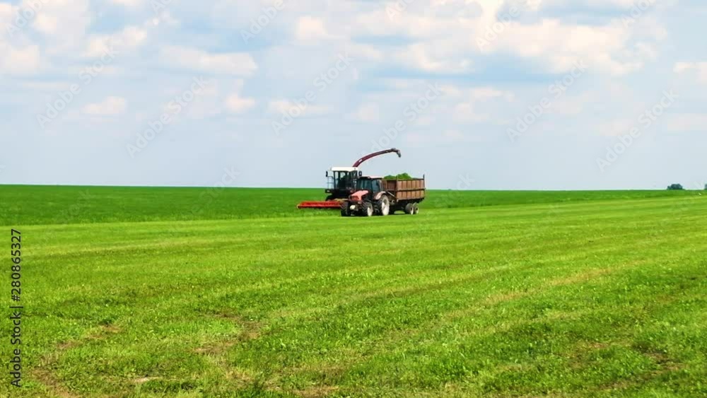 combine harvester mows the green grass. cattle feed preparation