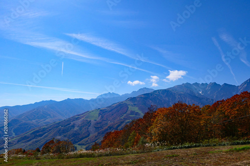 中部山岳国立公園。白馬マウンテンハーバーから北アルプスを望む。長野 日本。１０月下旬。