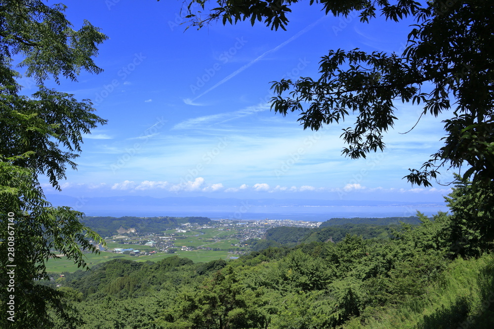 垂水千本イチョウから眺める垂水市 StockFoto Adobe Stock
