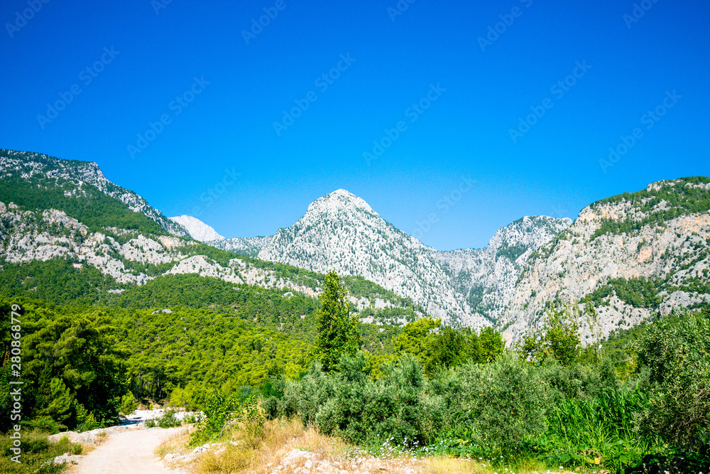 Obraz premium Beautiful mountain landscape on the background of a clear sky. At the foot of the mountains cedar trees grow, they are illuminated by the warm summer sun.