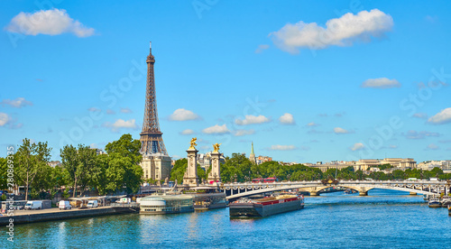 Paris - Pont Alexandre III with Eiffel Tower in the Background © marako85
