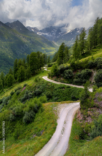 weg im Zauberwald