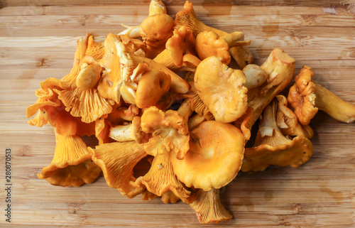 Macro photo of raw yellow chanterelle mushroomson on wooden background