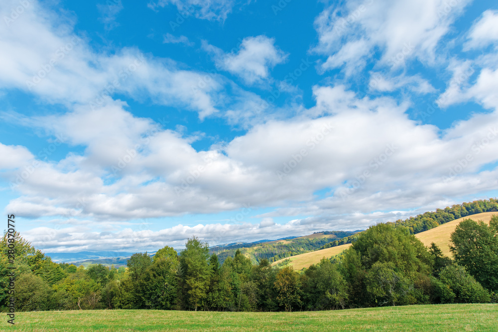 Fototapeta premium beautiful countryside in early autumn. trees along the grassy meadow on the hill. sunny weather with cloudy sky. mountain ridge in the distance. wonderful scenery of carpathians