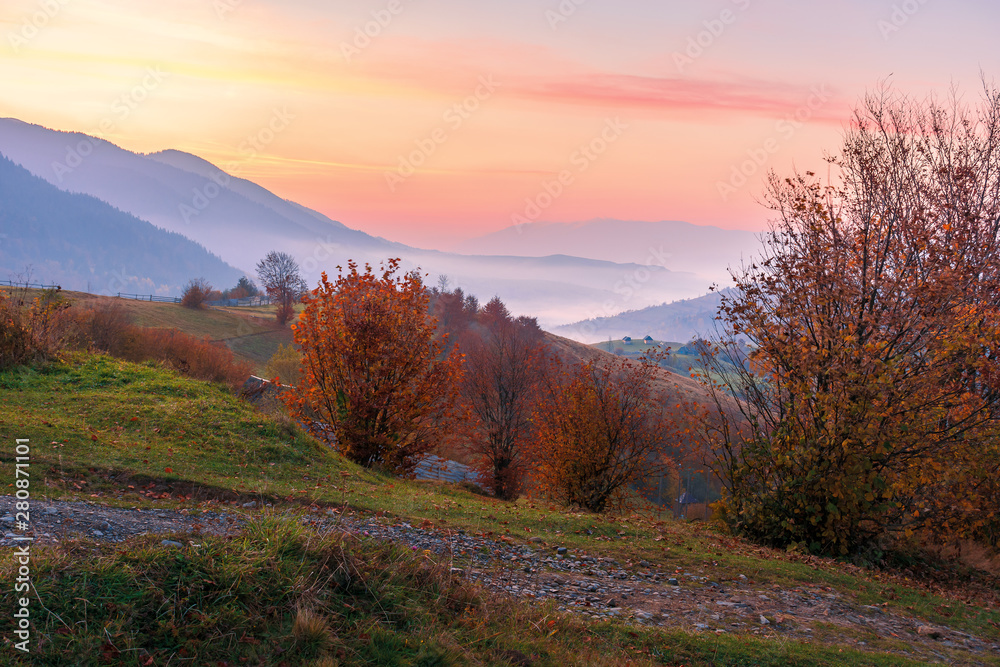 rural area in mountains at dawn. beautiful countryside autumn scenery. trees on rolling hills in fall foliage. clouds above the distant ridge an foggy valley. gorgeous purple sky