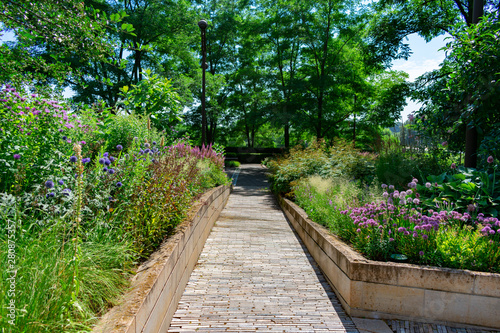 Path with Native Plants at a Downtown Chicago Park during Summer