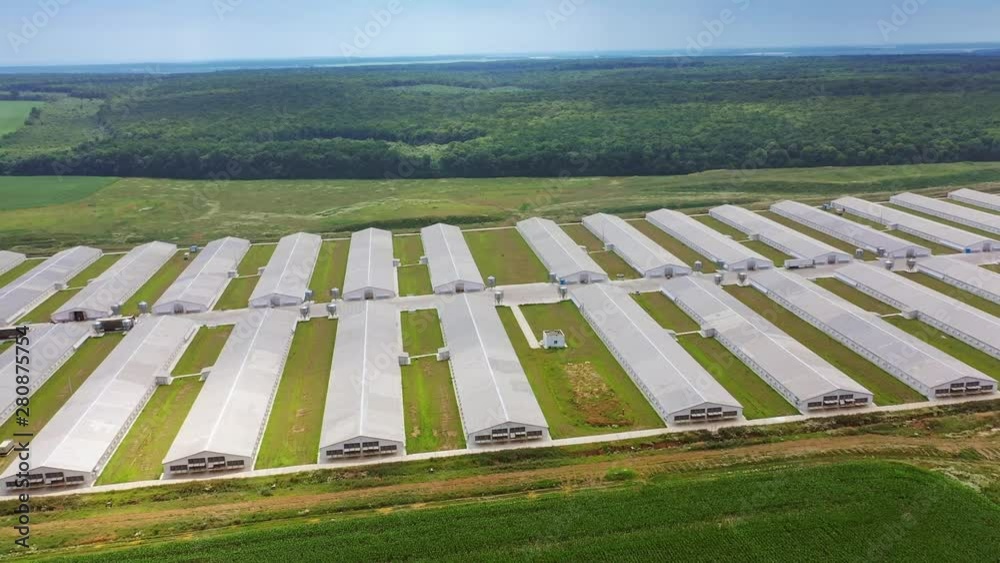 Flying near the modern farm for poultry in rural place. Aerial view to the new agricultural complex for farming in a sunny day. Flying near the modern farm for poultry in rural place. Aerial view to the new agricultural complex for farming in a sunny day.