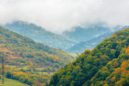 beautiful countryside on a rainy day in mountains. forested hills in fall foliage. overcast sky above the ridge. haze and mist in the valley. rural area of carpathians  uzhok  ukraine